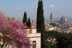 Firenze vista da villa Bardini.jpg